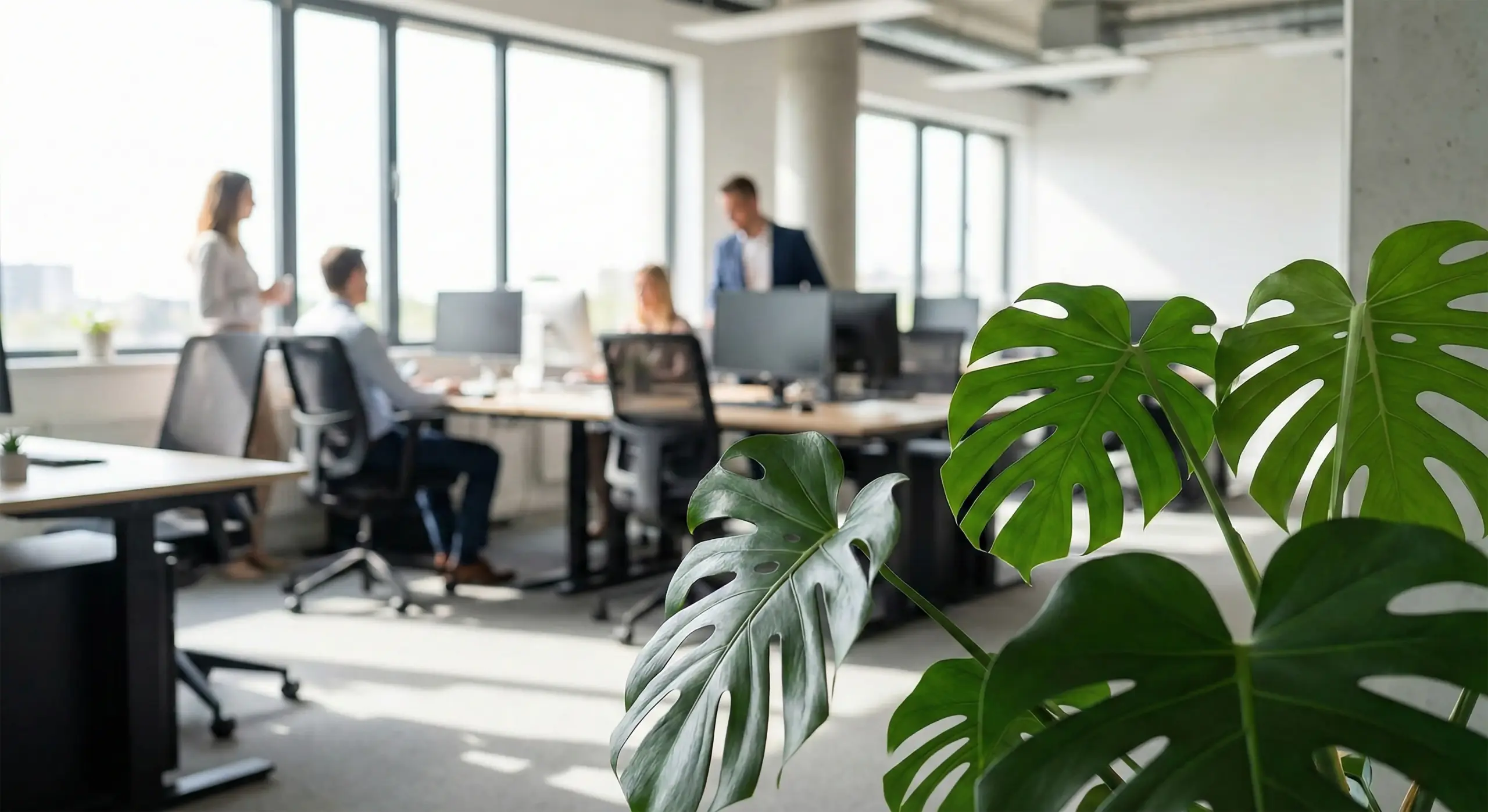 Furnished Office Space
